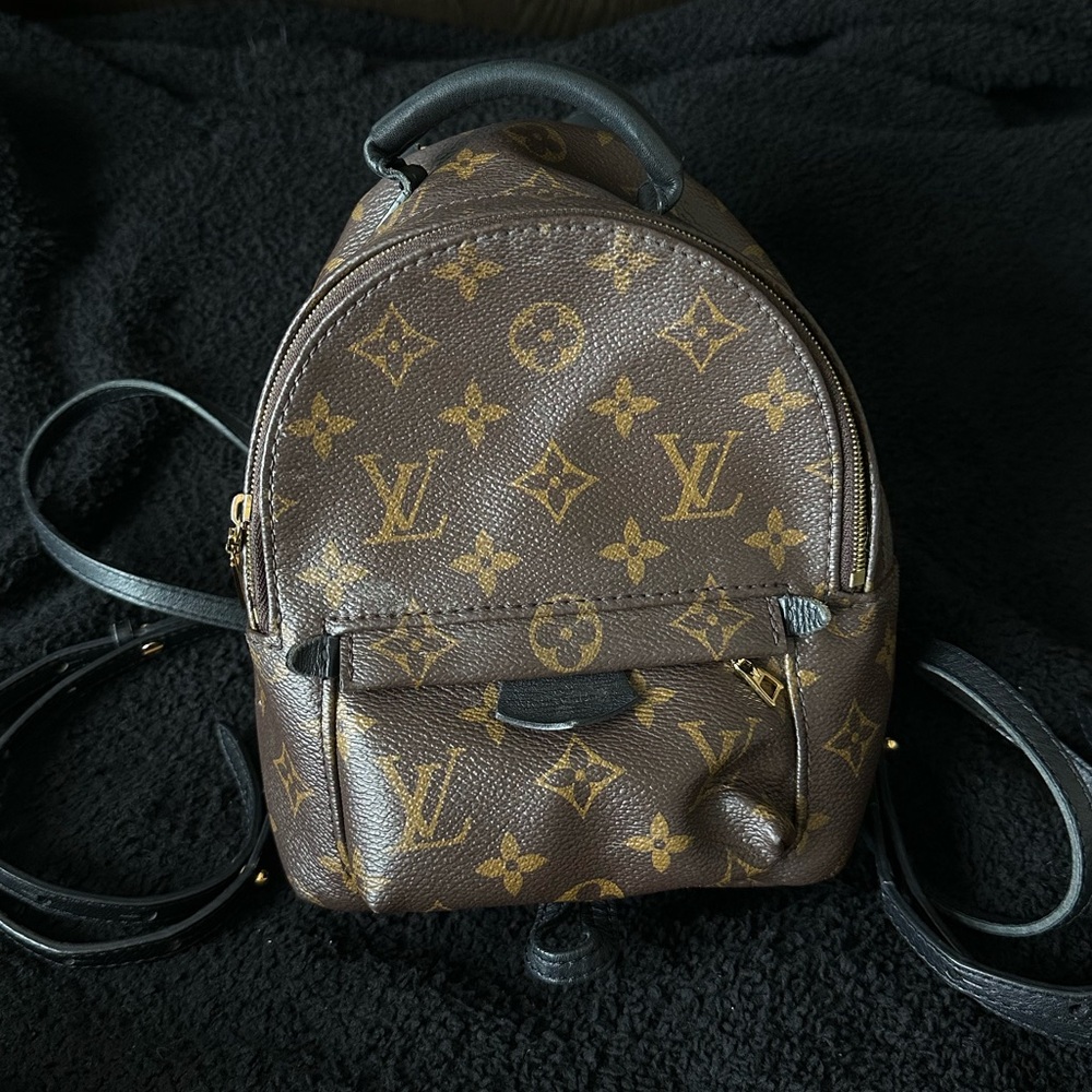 Louis Vuitton Palm Springs Mini Backpack Monogram Brown Leather Crossbody Bag